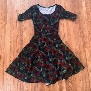 Paisley LuLaRoe Nicole Dress (XS)